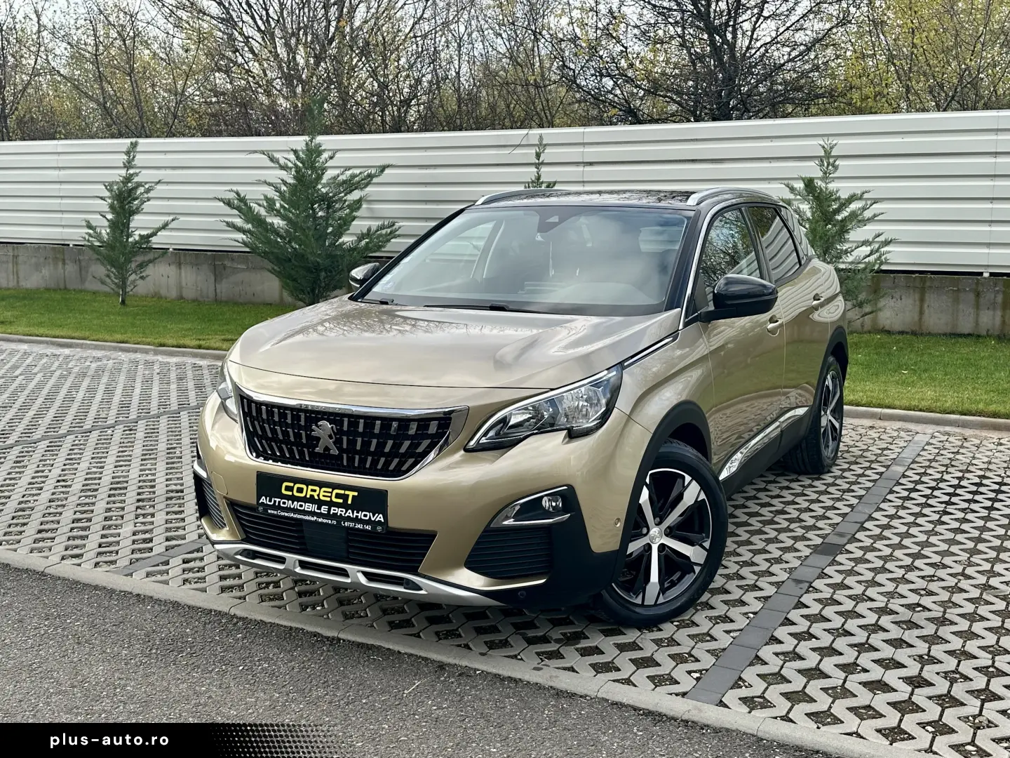 Peugeot 3008   106.000 km  5 moduri condus  garantie  rate