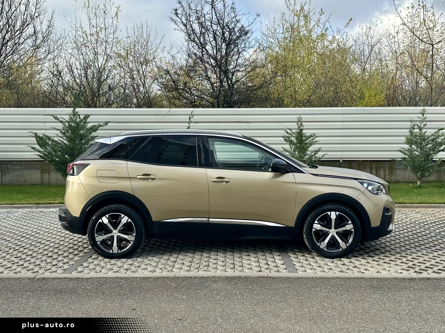 Peugeot 3008   106.000 km  5 moduri condus  garantie  rate