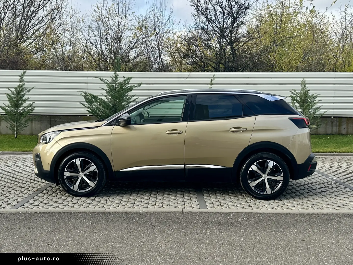 Peugeot 3008   106.000 km  5 moduri condus  garantie  rate