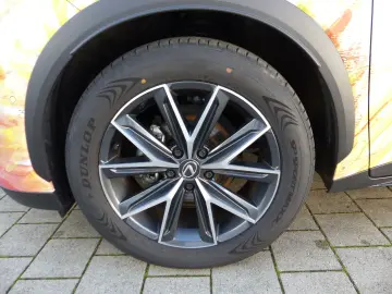 LBX FWD Cool mit Vollausstattung Levinson 1.Hand