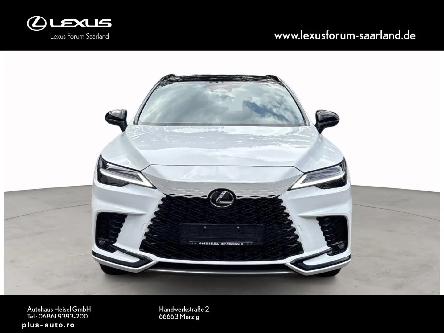 RX 500h DIRECT4 F SPORT  Panorama