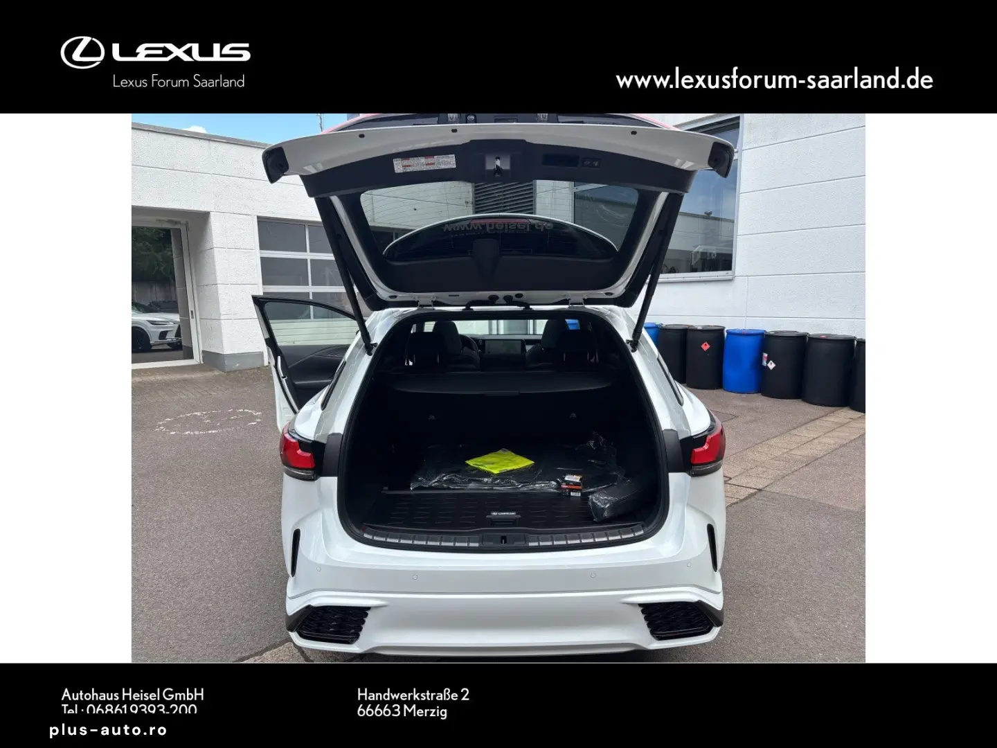 RX 500h DIRECT4 F SPORT  Panorama