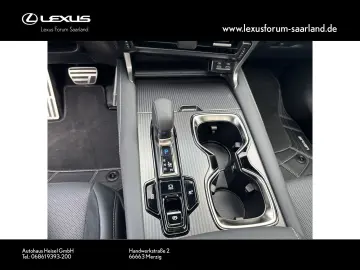 RX 500h DIRECT4 F SPORT  Panorama