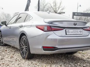 ES 300h Business Line