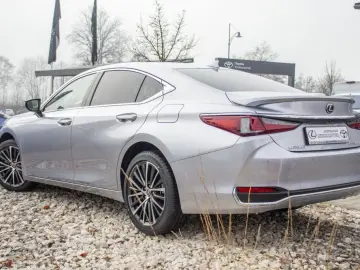 ES 300h Business Line