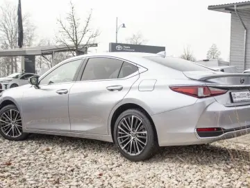 ES 300h Business Line