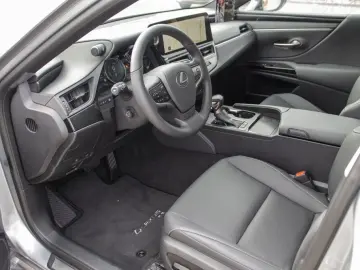 ES 300h Business Line