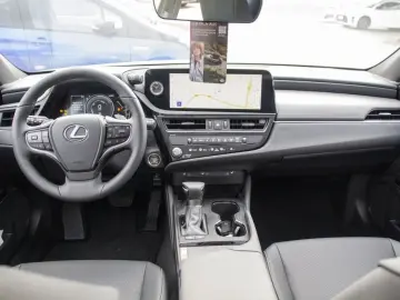 ES 300h Business Line