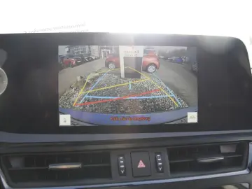 ES 300h Business Line