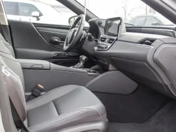 ES 300h Business Line