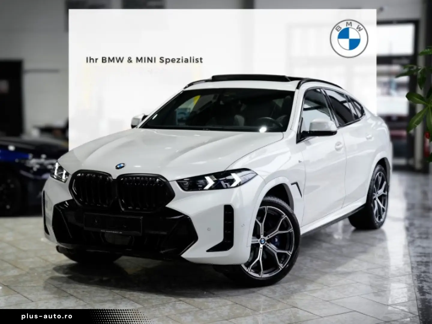 X6 30d M SPORT PRO Massage Sitzbelüftung Carbon