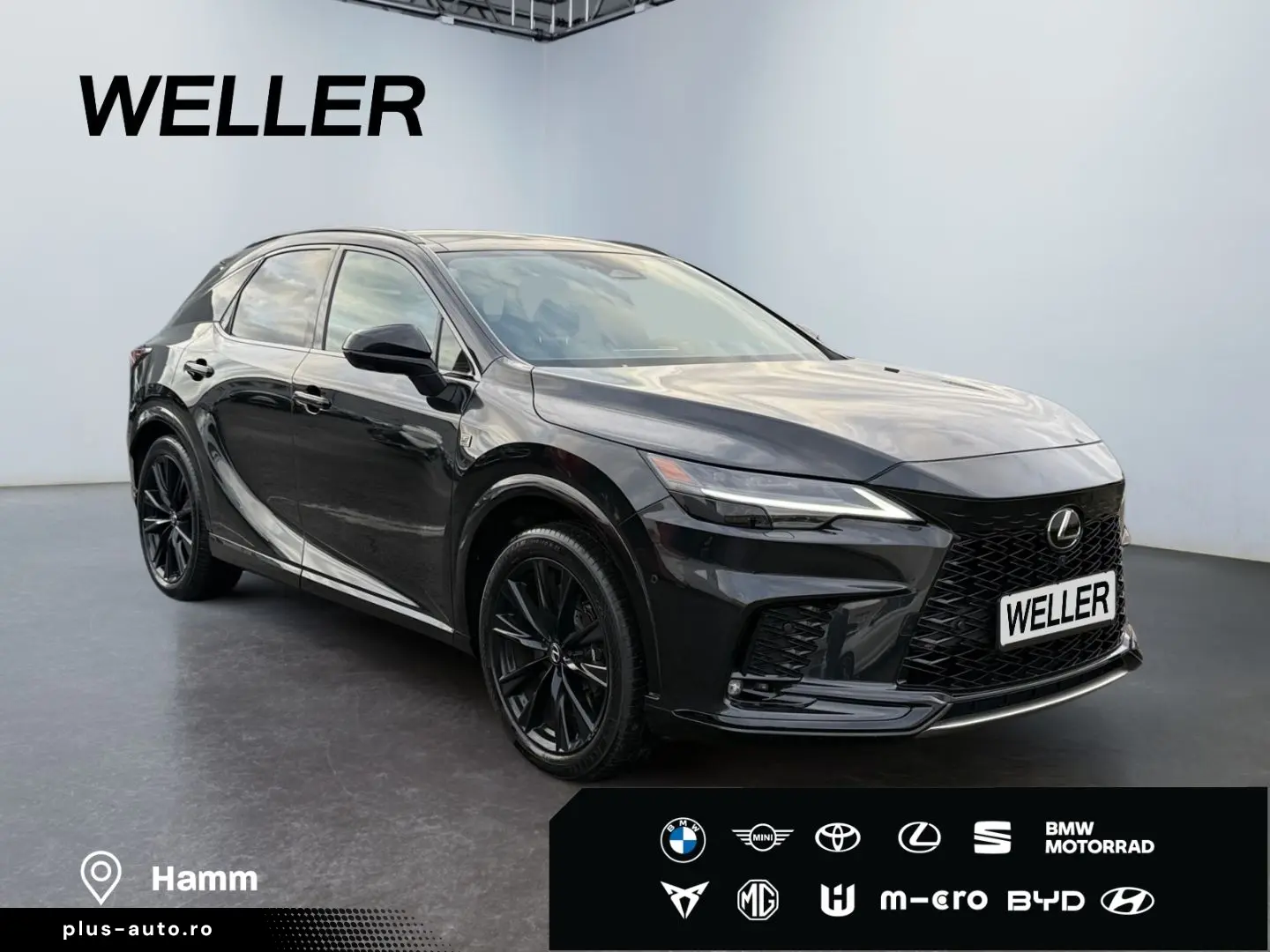 RX 500h (hybrid) F SPORT   HUD Levinson Pano 360