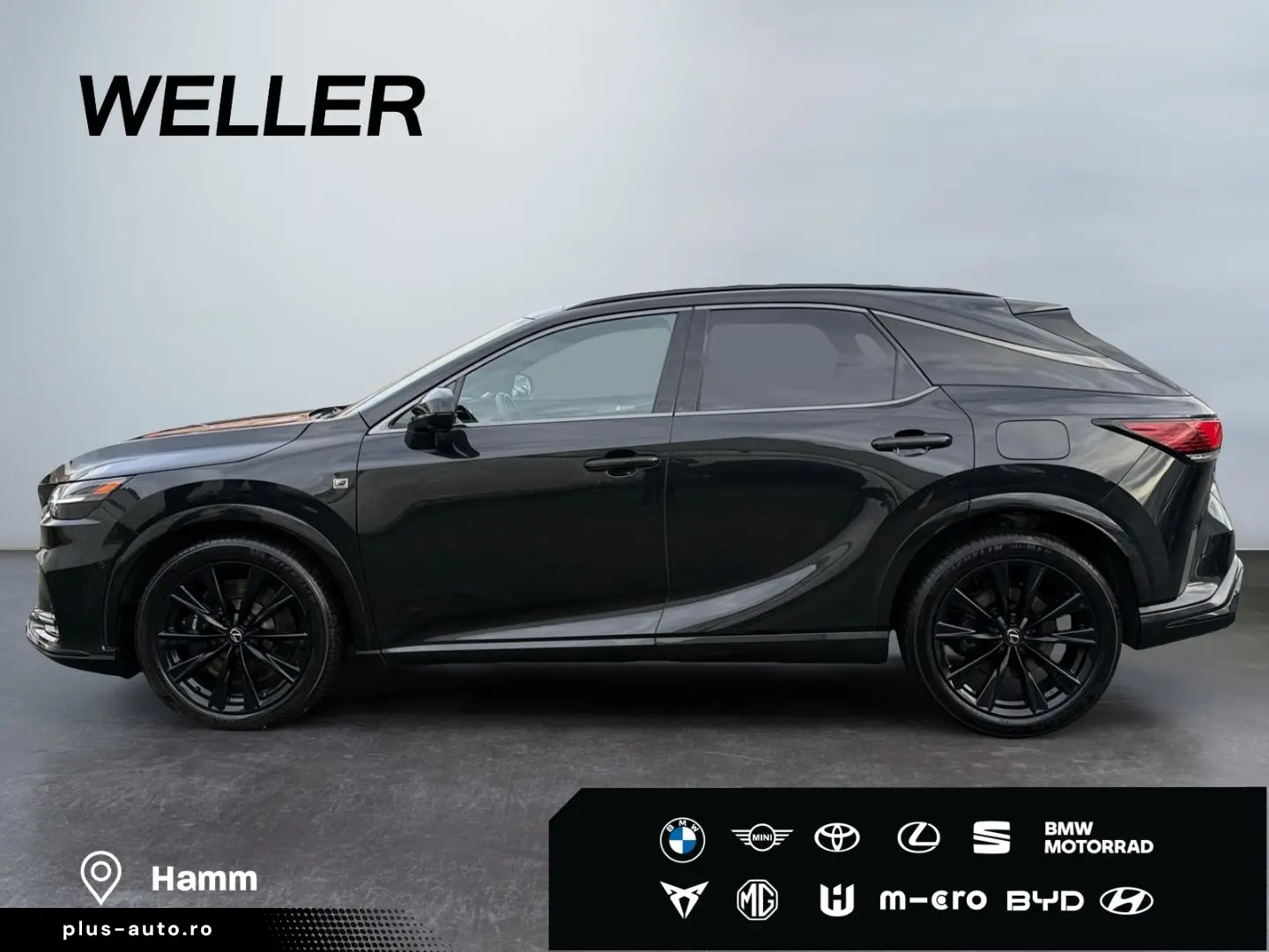 RX 500h (hybrid) F SPORT   HUD Levinson Pano 360