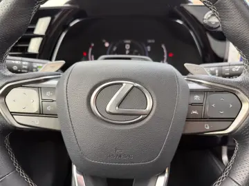 RX 500h (hybrid) F SPORT   HUD Levinson Pano 360