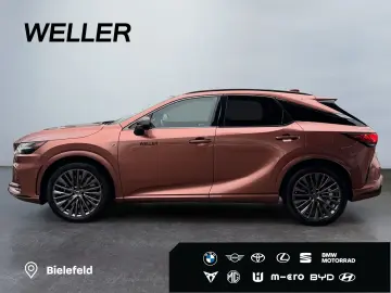 RX 500h F SPORT   21'' Allrad 360  Pano Levinson