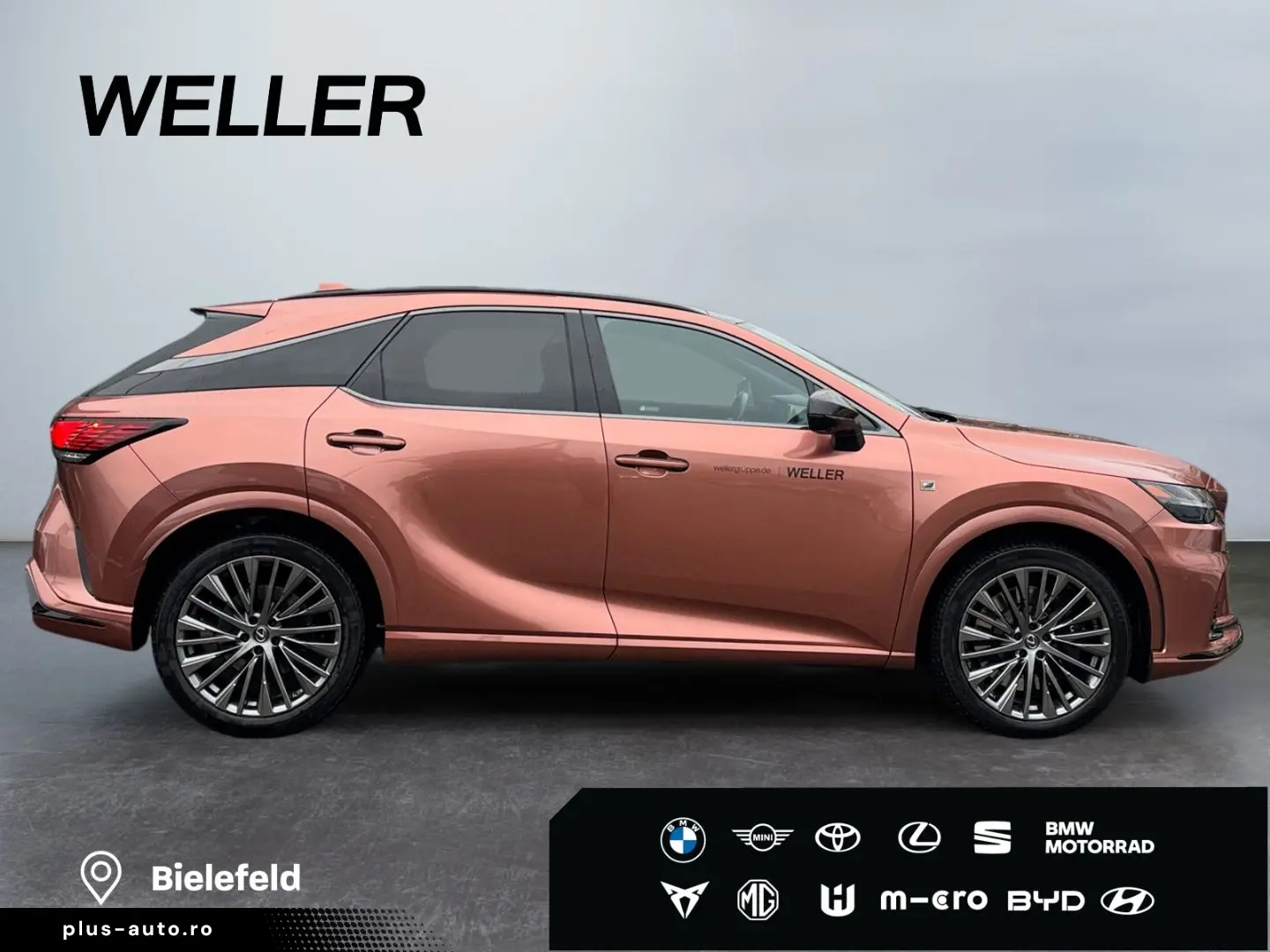 RX 500h F SPORT   21'' Allrad 360  Pano Levinson