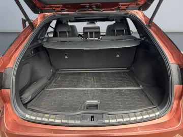 RX 500h F SPORT   21'' Allrad 360  Pano Levinson