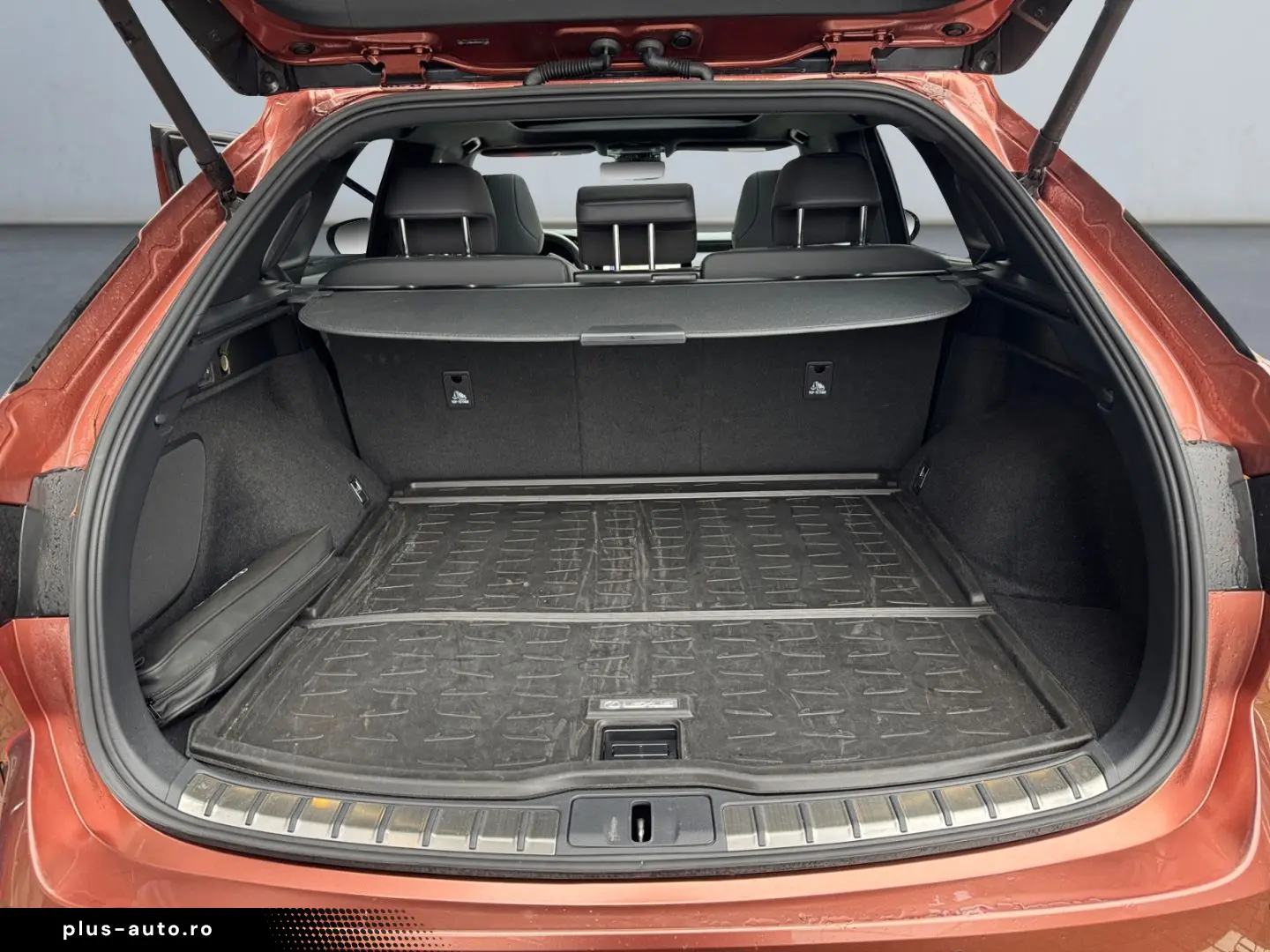 RX 500h F SPORT   21'' Allrad 360  Pano Levinson