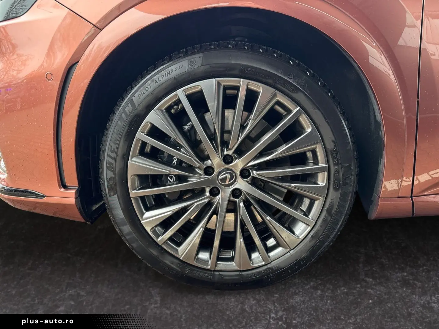 RX 500h F SPORT   21'' Allrad 360  Pano Levinson