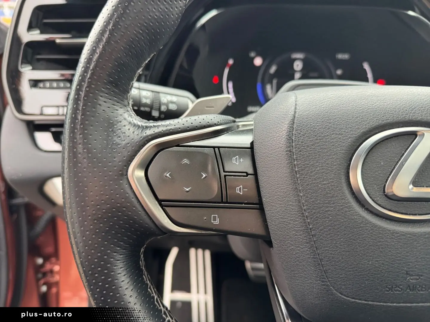 RX 500h F SPORT   21'' Allrad 360  Pano Levinson