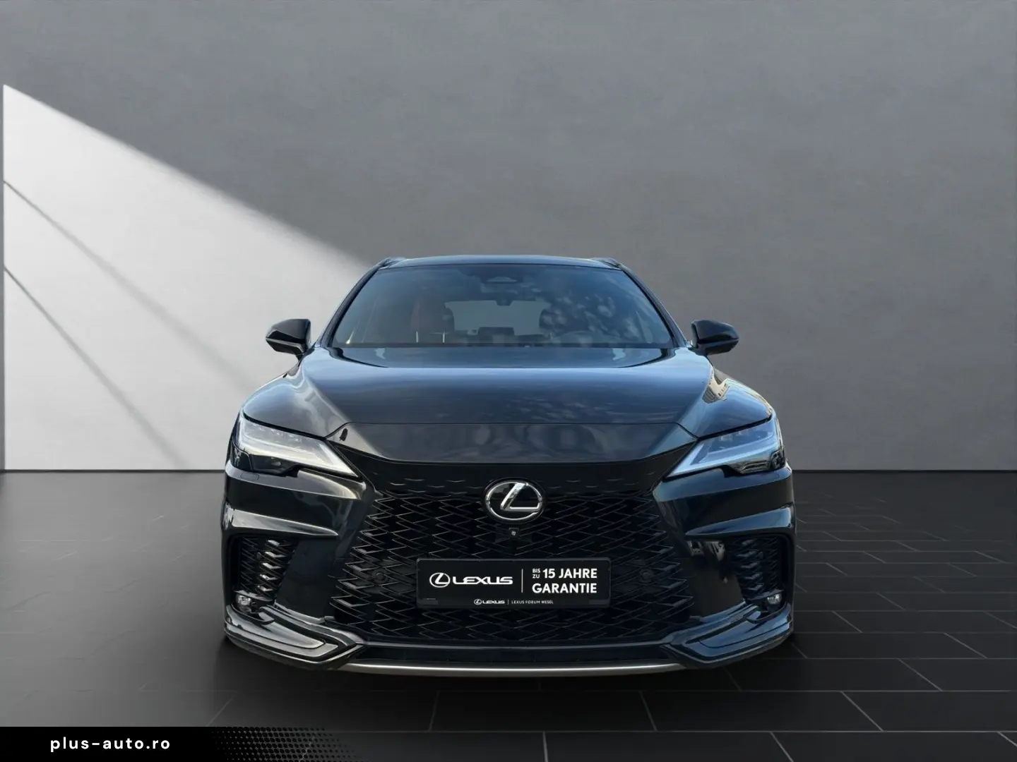 RX 500 F-SPORT  MARK-LEVINSON HUD 360 KAMERA