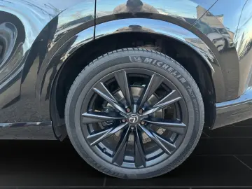 RX 500 F-SPORT  MARK-LEVINSON HUD 360 KAMERA