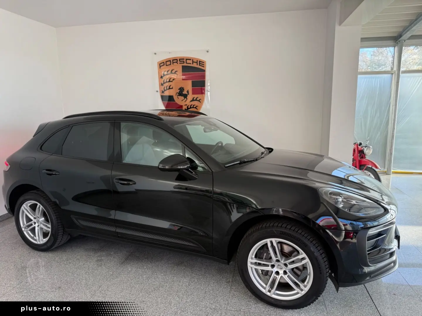 Macan - 1. Hand - Panorama- Vollleder