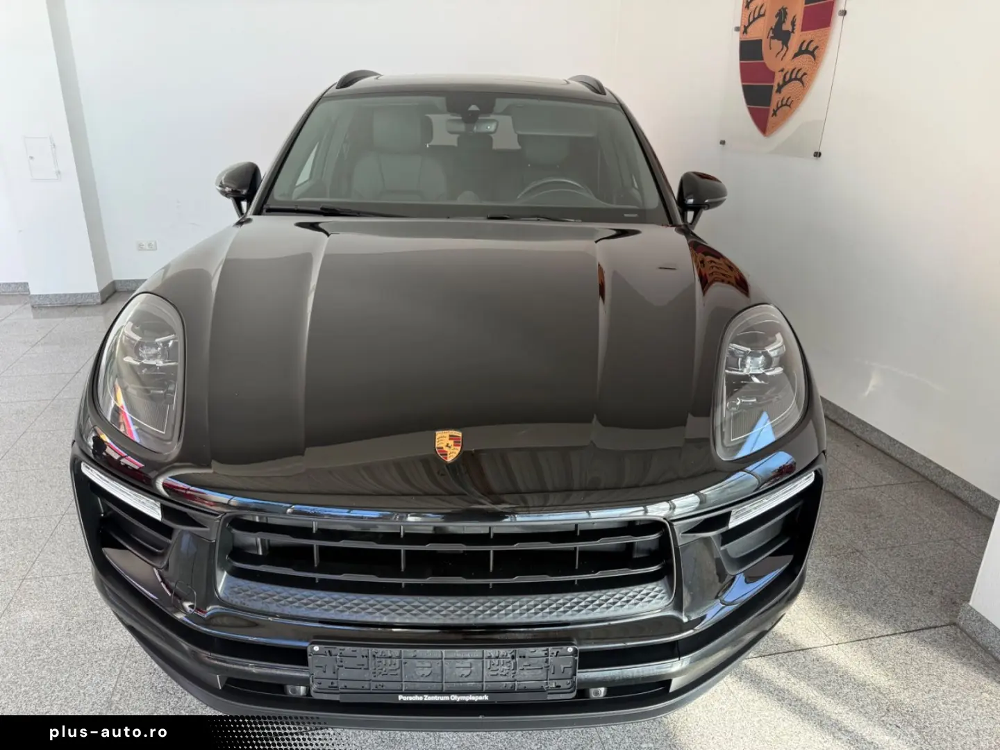 Macan - 1. Hand - Panorama- Vollleder