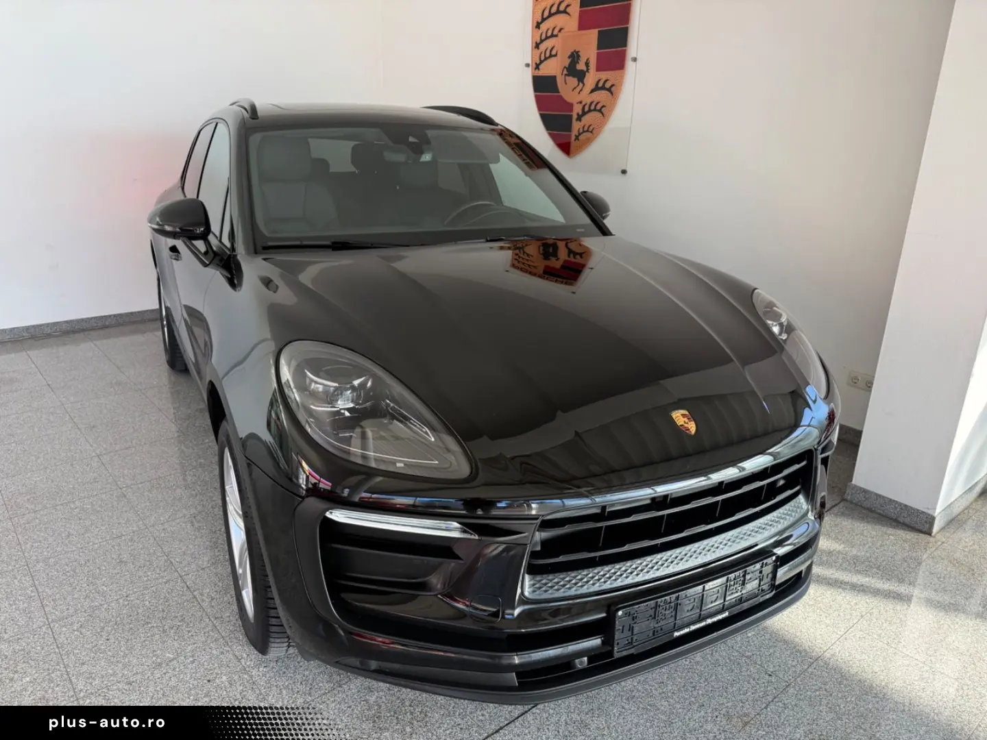 Macan - 1. Hand - Panorama- Vollleder