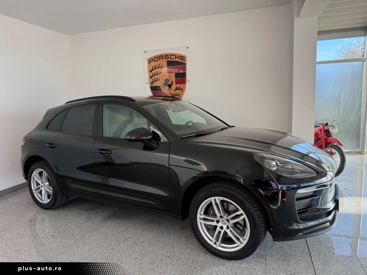 Macan - 1. Hand - Panorama- Vollleder