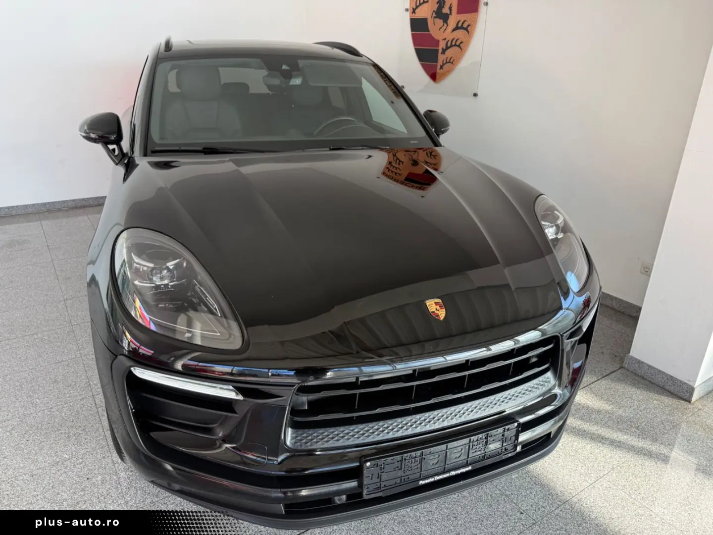 Macan - 1. Hand - Panorama- Vollleder