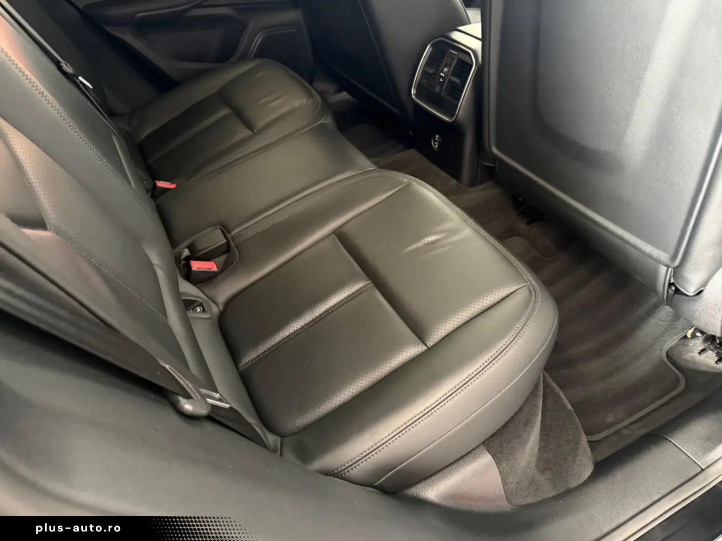 Macan - 1. Hand - Panorama- Vollleder