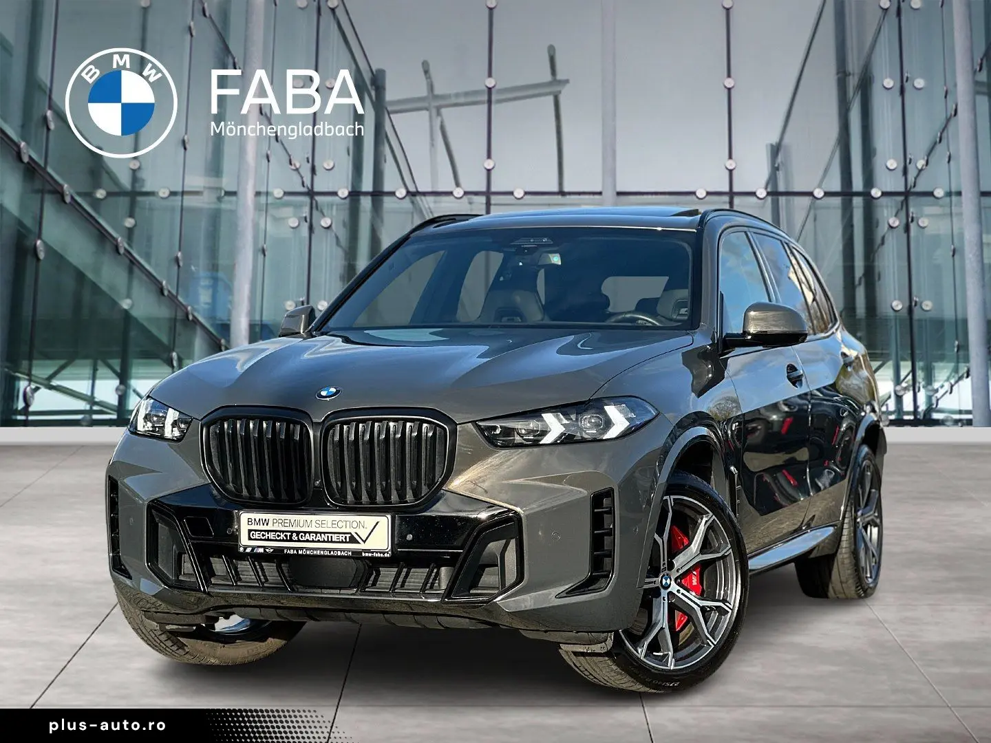 X5 xDrive30d M Sportpaket Gestiksteuerung DAB
