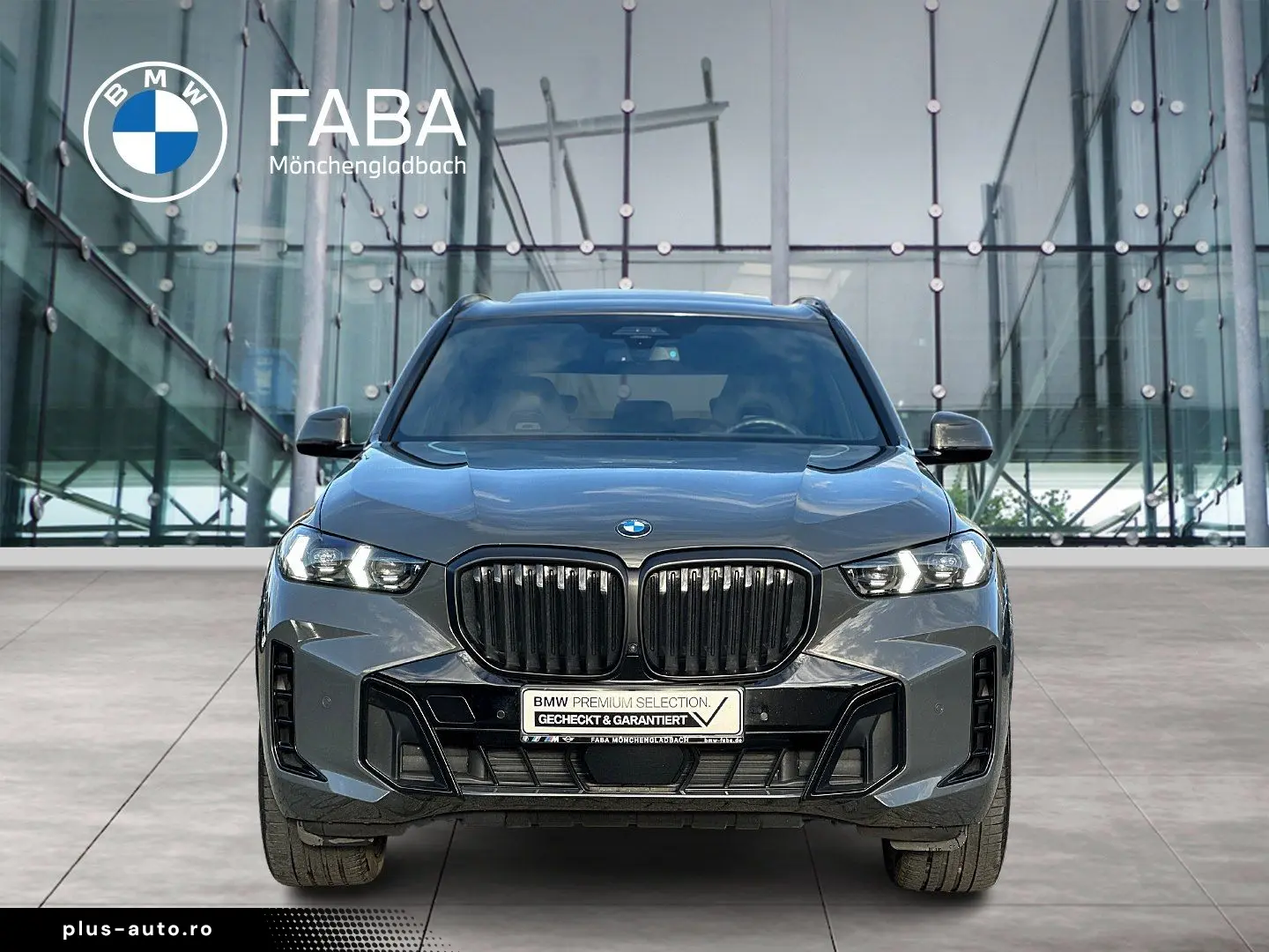 X5 xDrive30d M Sportpaket Gestiksteuerung DAB