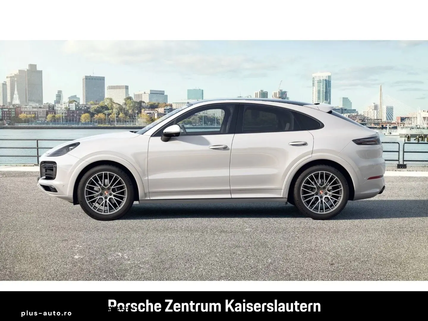 Cayenne Coupe Platinum Edition Surround-View