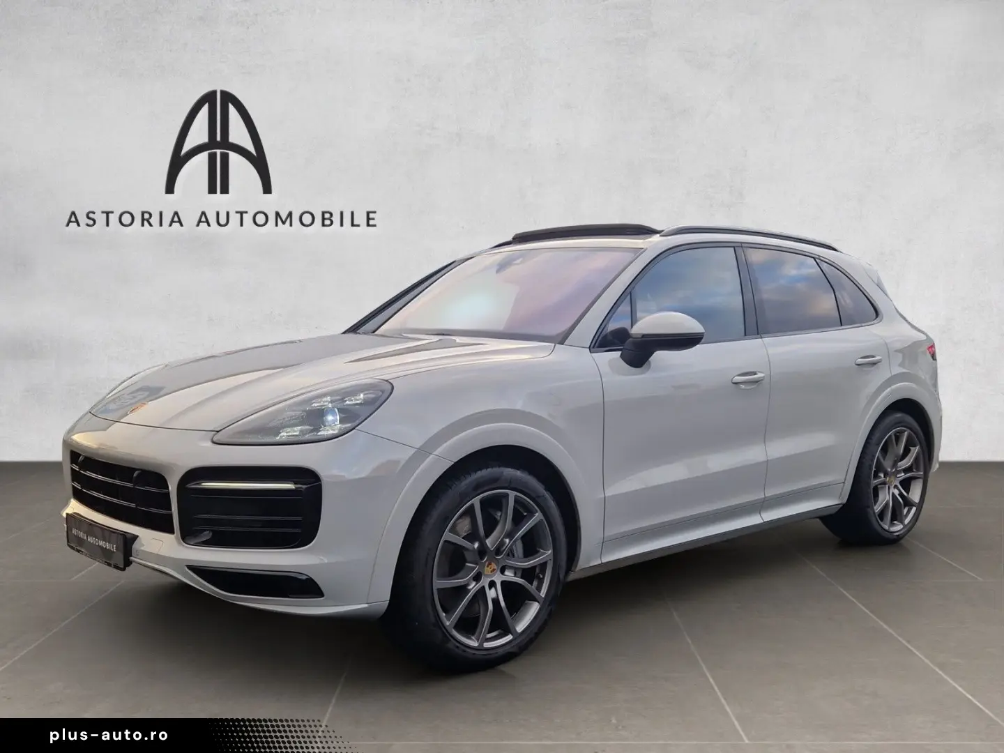 Cayenne S Platinum SportDesign HALenk Standh 18w