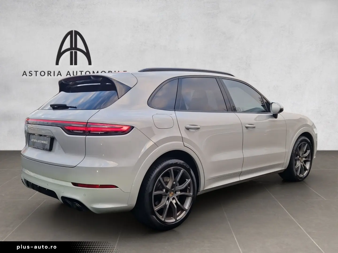 Cayenne S Platinum SportDesign HALenk Standh 18w