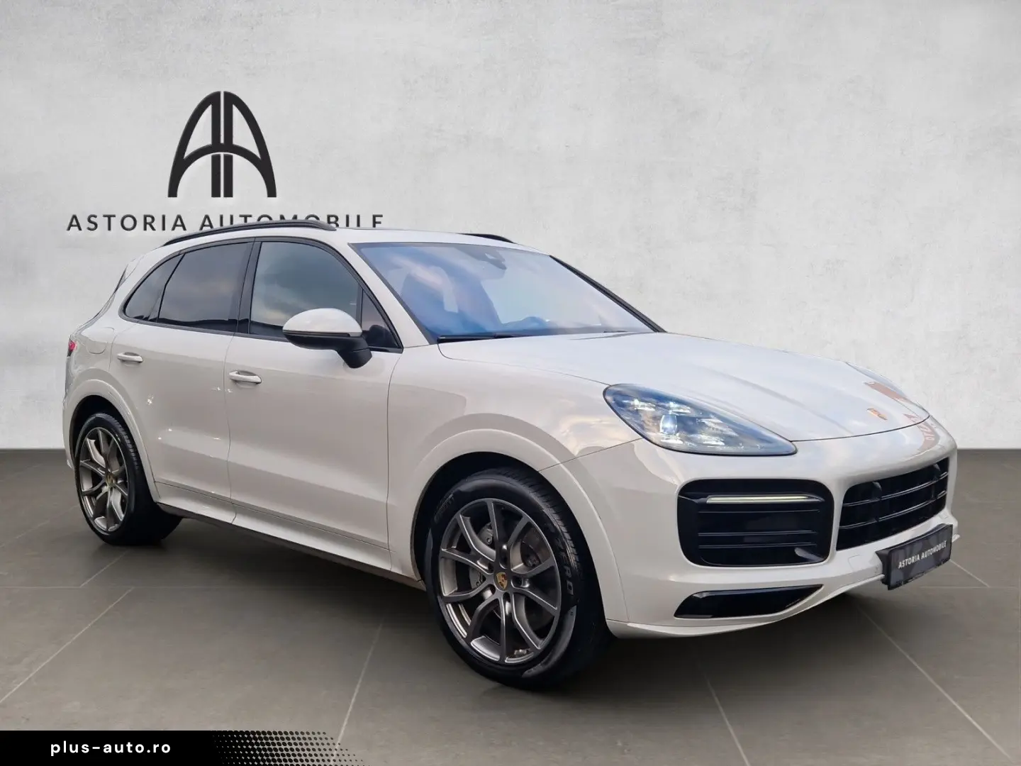 Cayenne S Platinum SportDesign HALenk Standh 18w