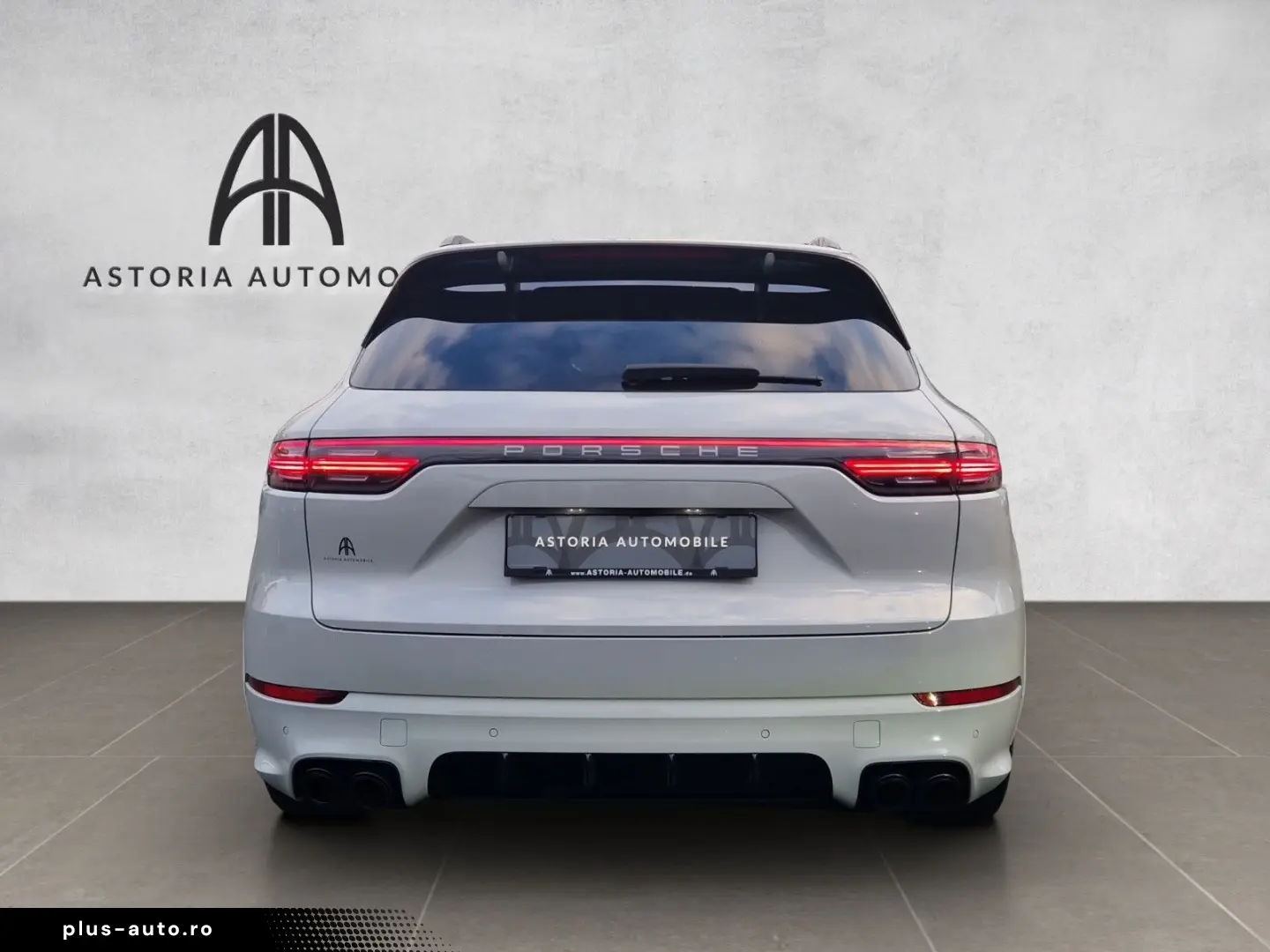 Cayenne S Platinum SportDesign HALenk Standh 18w