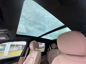 Cayenne Platinum Edition 1 Hand wenig KM