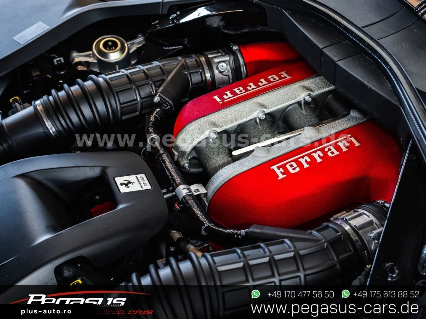 Ferrari Purosangue CARBON NOVITEC PPF PANO 22 23
