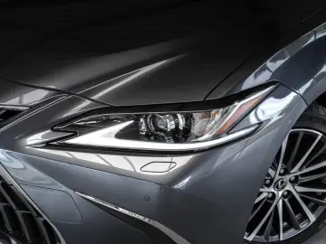 ES 300 300h Business Line Adaptief Cruise Lane C