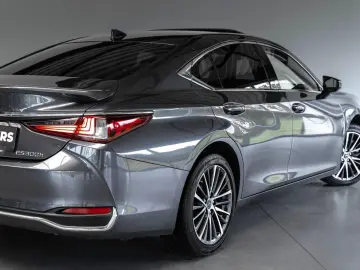 ES 300 300h Business Line Adaptief Cruise Lane C