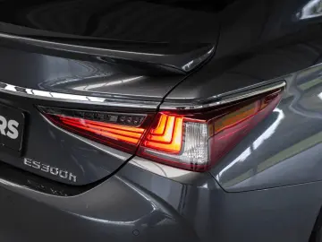 ES 300 300h Business Line Adaptief Cruise Lane C