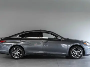 ES 300 300h Business Line Adaptief Cruise Lane C