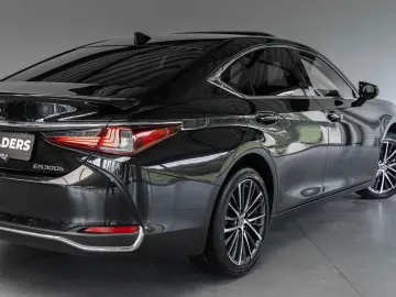 ES 300 300h Business Line Adaptief Cruise Lane C