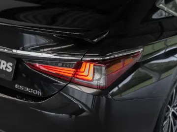 ES 300 300h Business Line Adaptief Cruise Lane C