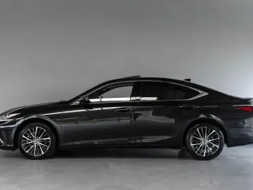 ES 300 300h Business Line Adaptief Cruise Lane C