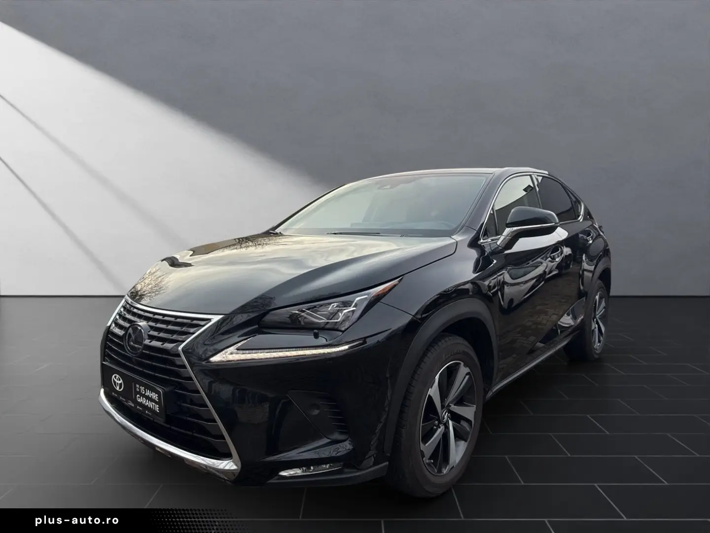 NX 300 h E-Four Luxury  HUD PANO 360