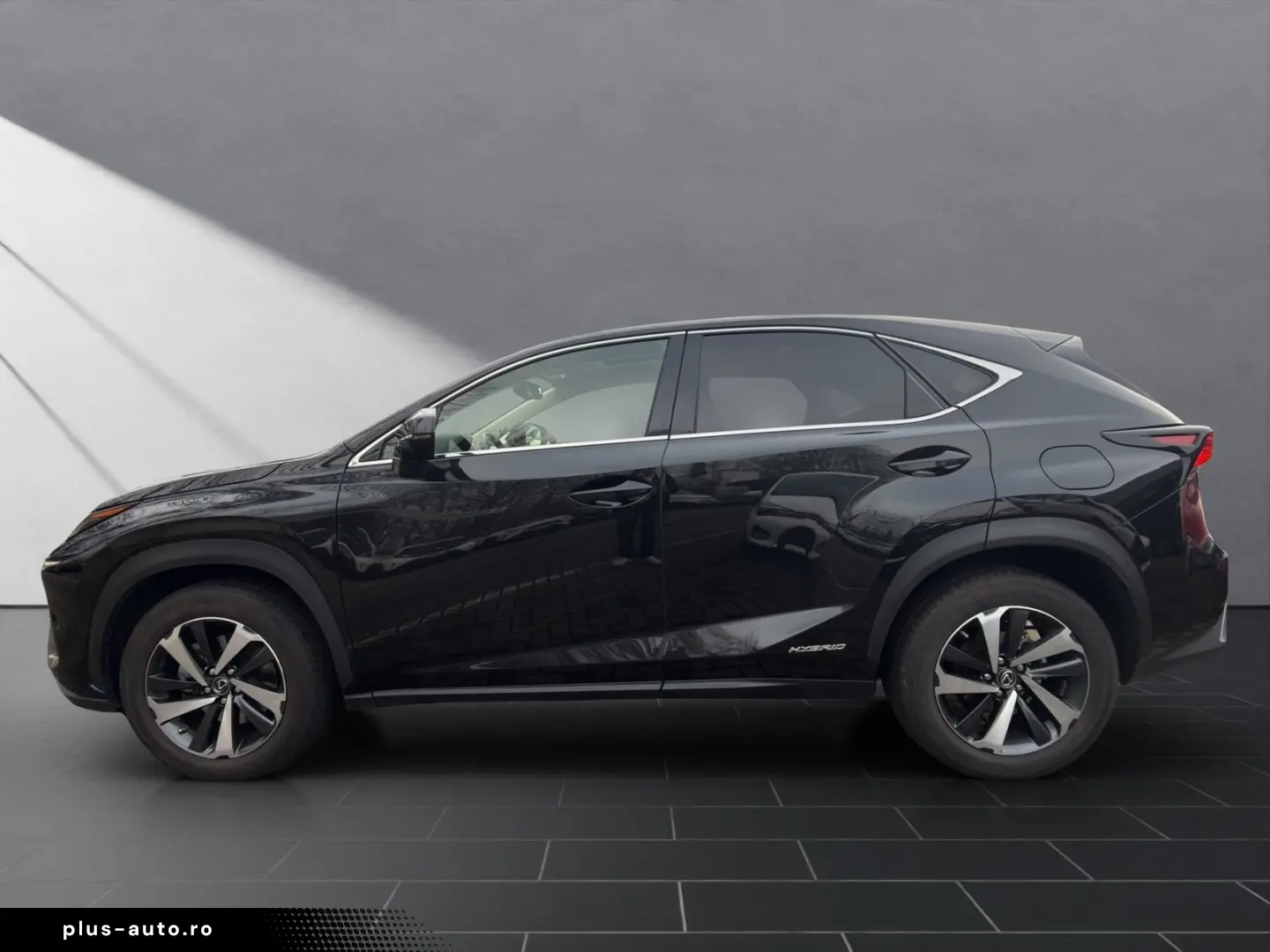 NX 300 h E-Four Luxury  HUD PANO 360